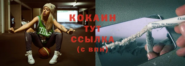 ECSTASY Белокуриха