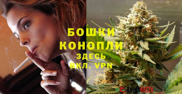 ECSTASY Белокуриха
