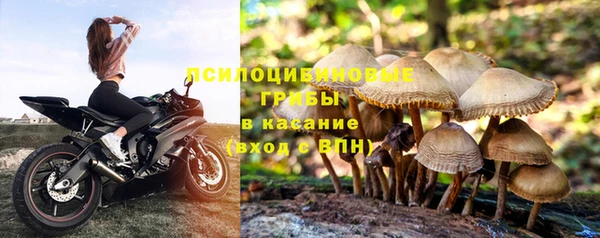 прущая мука Белоозёрский